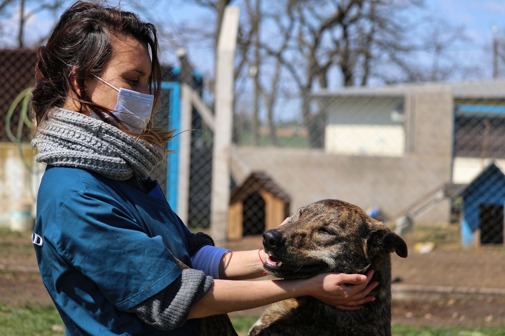 “Semana de los animales”: Conocé los descuentos en tiendas y veterinarias en Morón