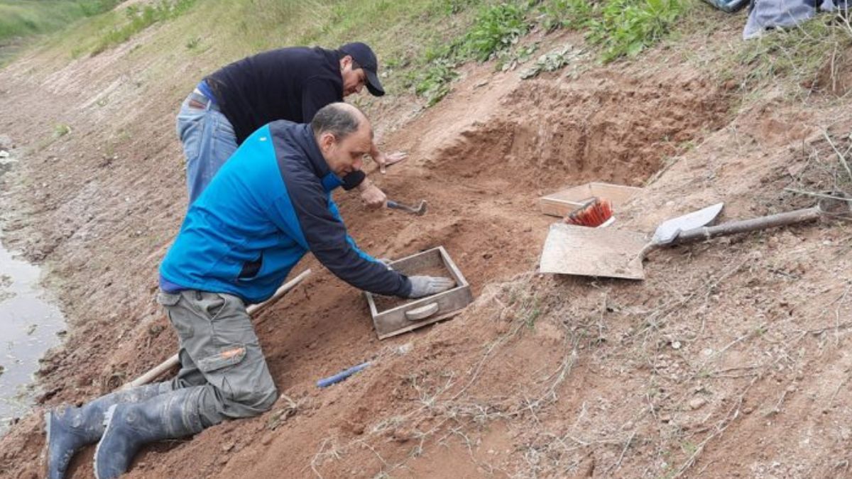 Increíble hallazgo arqueológico en la zona oeste del conurbano bonaerense