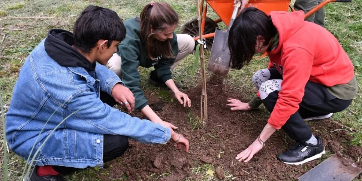 Actividades en Morón por la Semana del Árbol