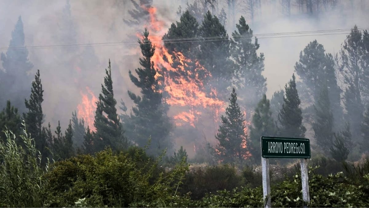 Autoconvocados del Oeste juntan donaciones para las zonas afectadas por los incendios en la Patagonia