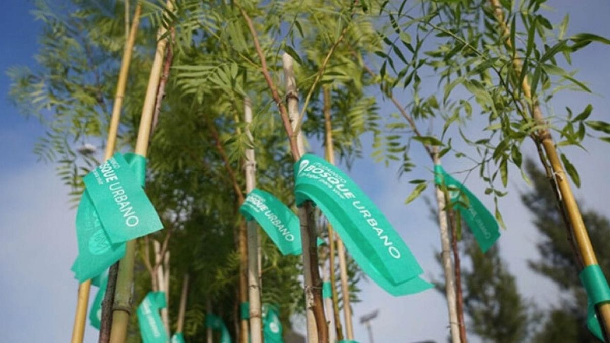 Ituzaingó: la Escuela Técnica N°2, el GEI y el CAI plantarán más de 200 árboles