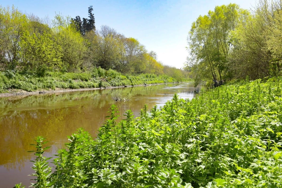 El sueño de la Reserva Natural está más cerca que nunca en Ituzaingó
