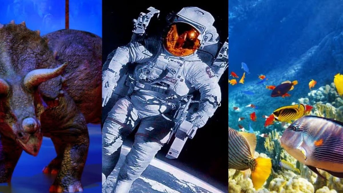 Este sábado llega una serie de propuestas inmersivas a Ituzaingó