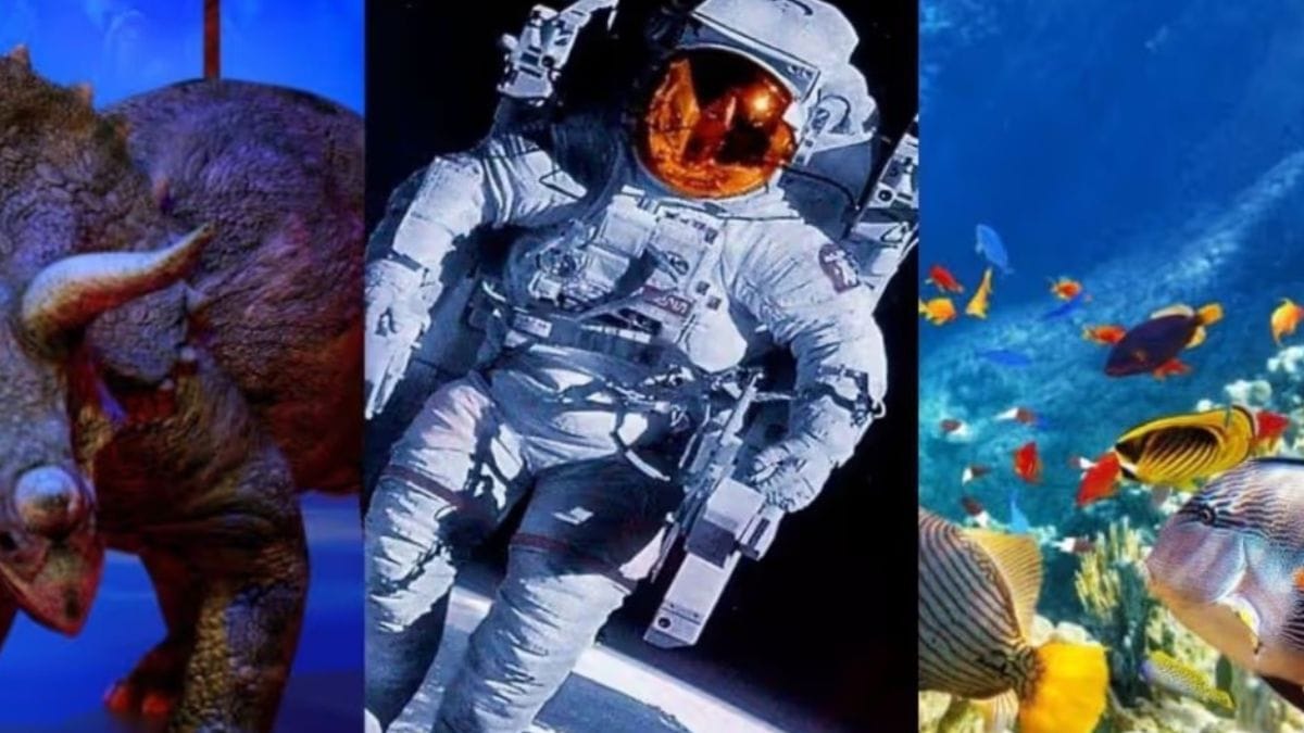 Morón en vacaciones: viajar por el espacio o en el fondo del mar