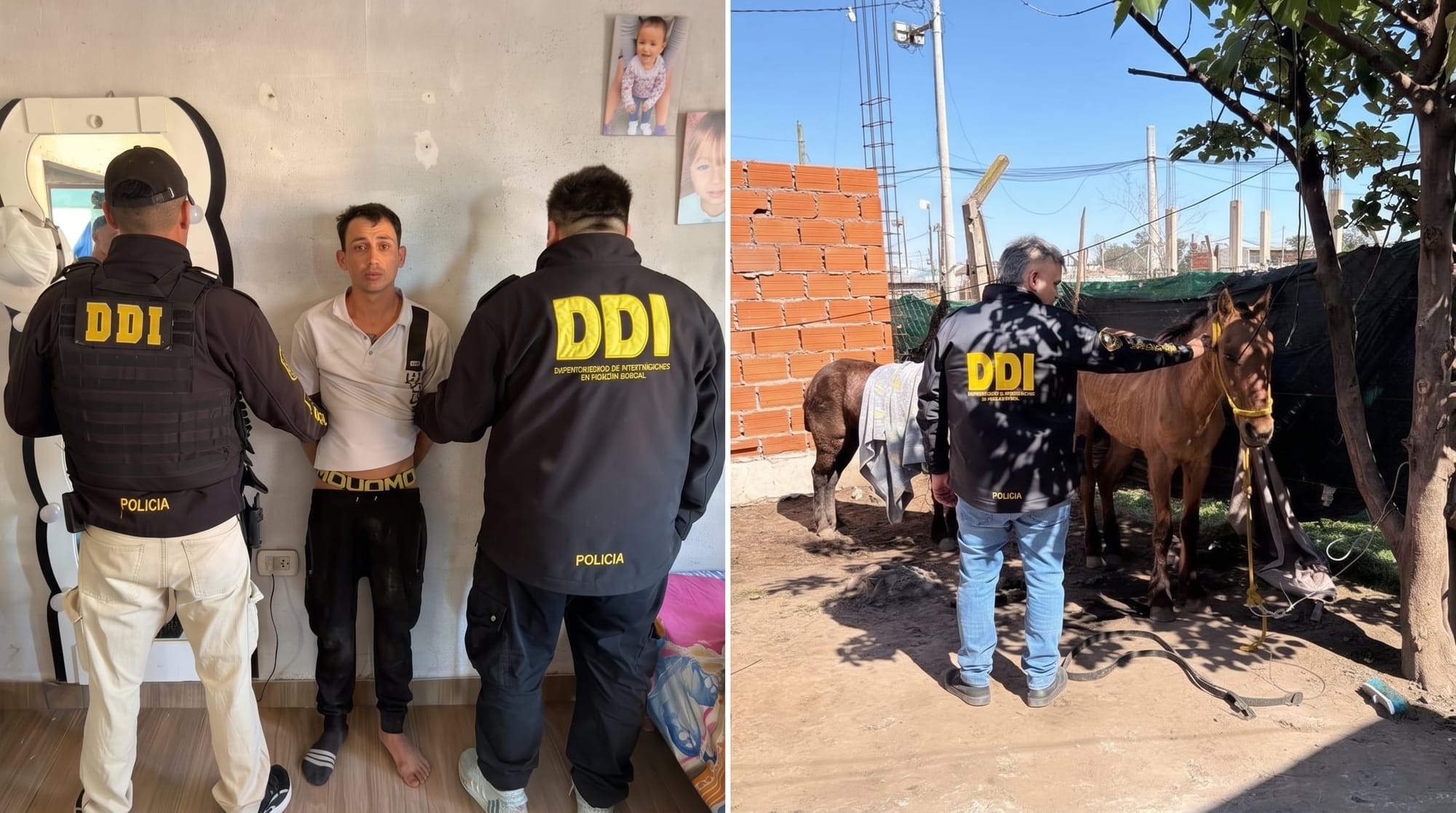 Un prófugo por homicidio fue detenido en Moreno tras el robo y la faena de caballos de polo