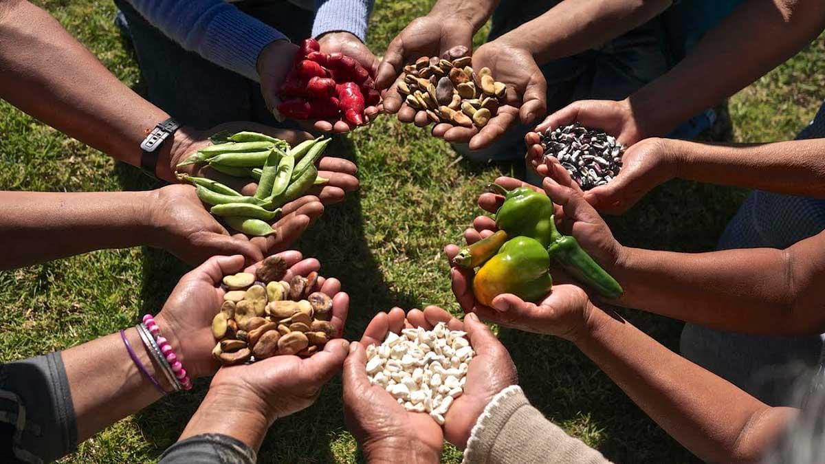 Sabores conscientes: Morón invita a un Laboratorio Sensorial gratuito para redescubrir lo que comemos