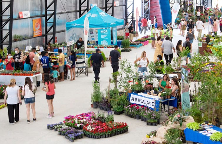 Moreno: la Feria del Plantín Floral regresa a la Plaza San Martín