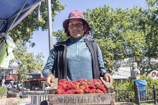 Comenzó la Semana de la Frutilla en Moreno con venta directa, charlas y espectáculos