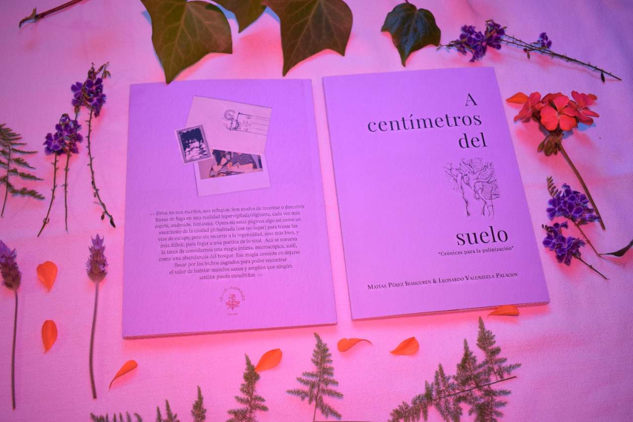 “A centímetros del suelo”:  El libro de Leonardo Valenzuela y Matías Pérez se presentará en la librería Yatay
