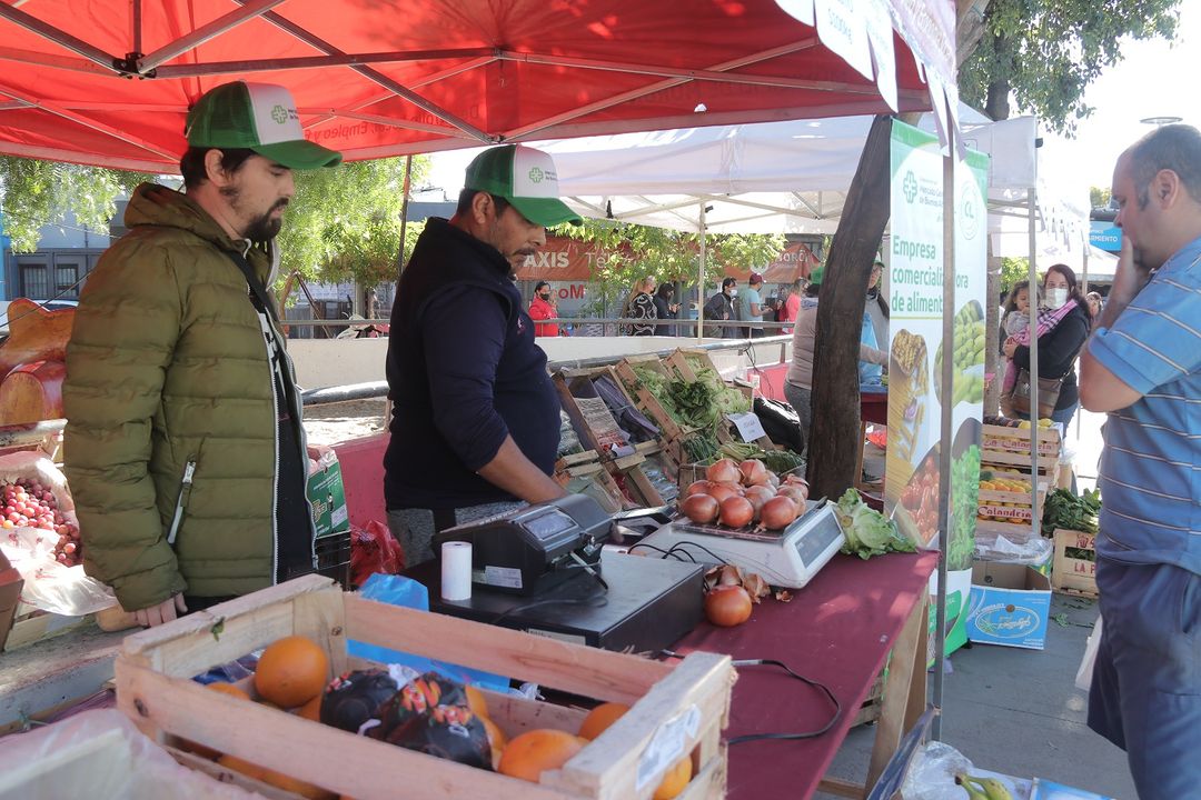El Mercado Central llega a Morón: mañana se podrán conseguir frutas y verduras a precios muy económicos