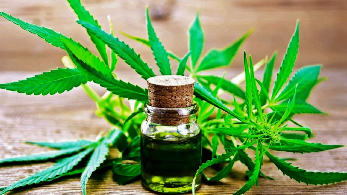 Se realizará una charla abierta sobre Cannabis Medicinal en Moreno