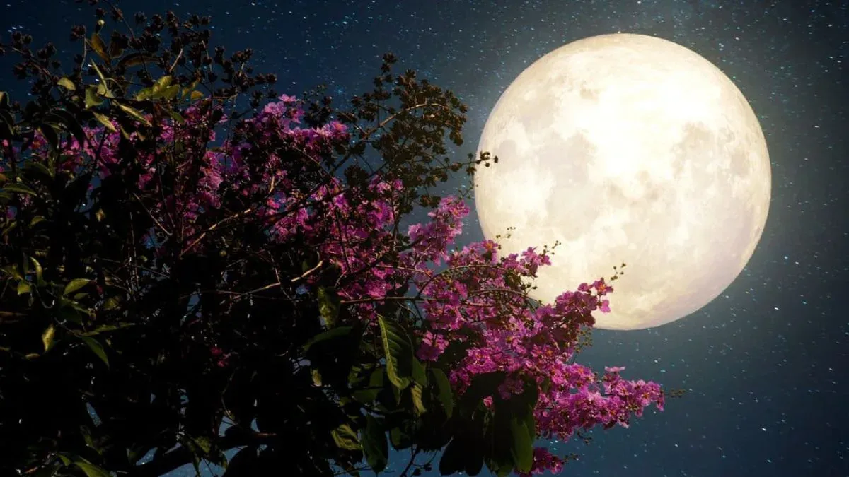 Juana Teatro Restobar invita a vivir una noche mágica de luna llena