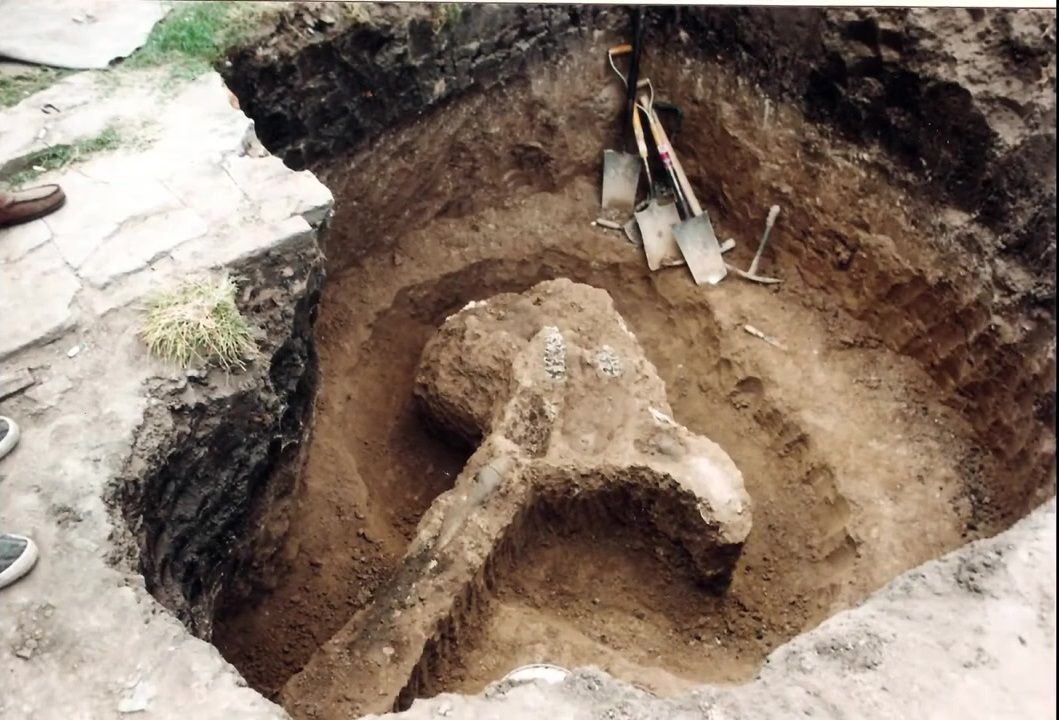 El mastodonte de Cascallares, la historia del increíble descubrimiento en Moreno