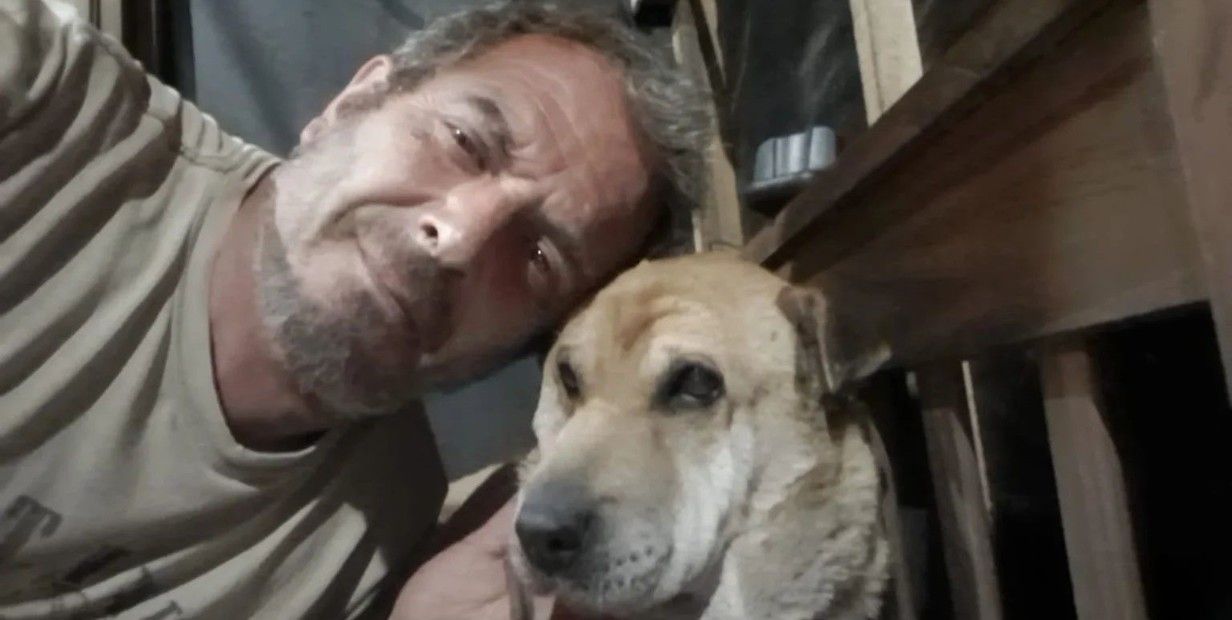 Roxy, la historia de la perra de Ituzaingó que fue rescatada tras navegar por más de 2 kilómetros y medio