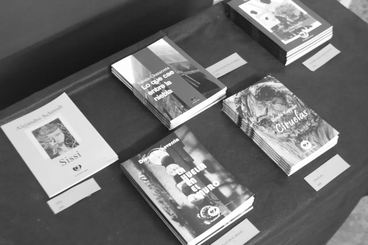 Una oportunidad para mujeres y disidencias que escriben: La editorial matancera El Elefante negro abrió su convocatoria para poesía y microficción