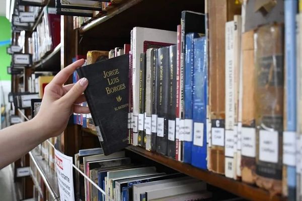 “Los Talleres de la Biblio”: Últimos días para anotarse a las actividades anuales de la Biblioteca de Morón