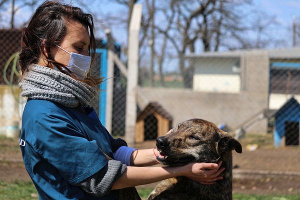 “Semana de los animales”: Conocé los descuentos en tiendas y veterinarias en Morón
