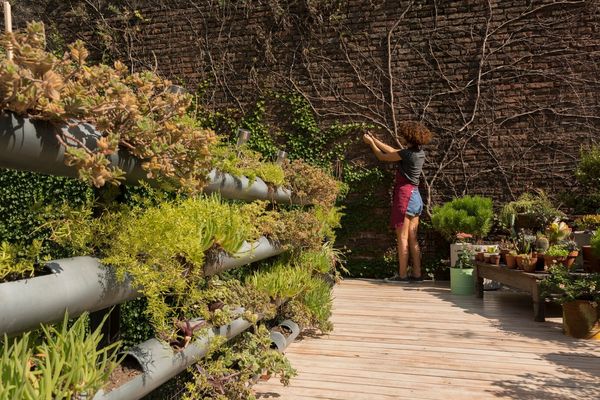 Ahorro y Sostenibilidad: transforma tu jardín urbano con tanques de agua