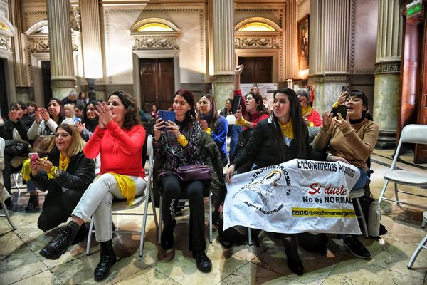 Ley de Endometriosis: La provincia de Buenos Aires aprobó el proyecto que garantiza la atención integral y de calidad