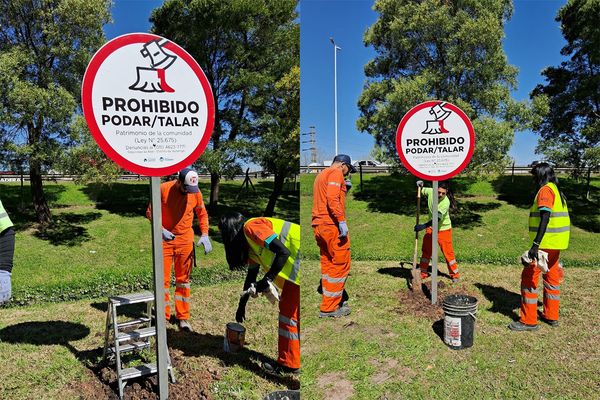 Campaña contra la poda ilegal en la colectora de la Autopista del Oeste