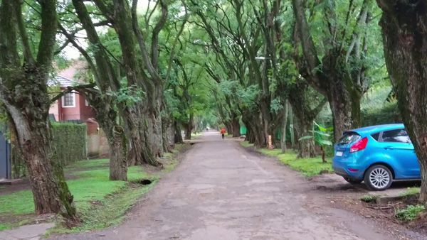 Parque Leloir: su origen y evolución hacia zona residencial