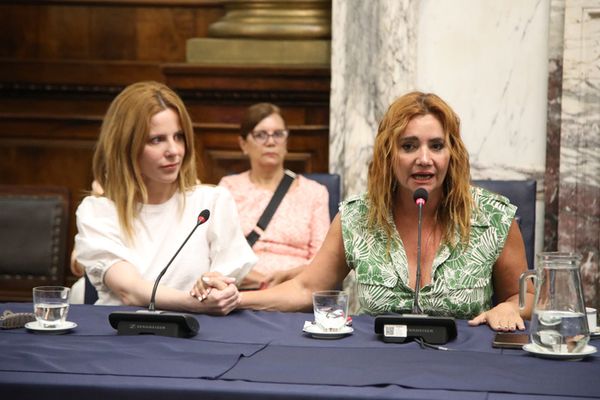 Un avance hacia la igualdad: Diputados dictaminó el acoso sexual laboral