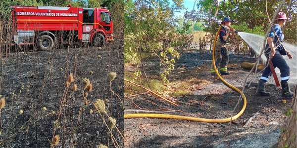 Ituzaingó: EL Predio del INTA sufre un incendio forestal