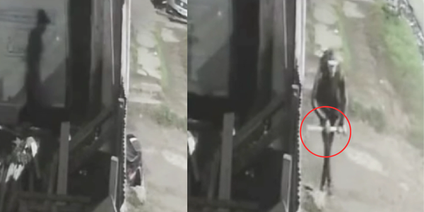 Robo piraña en Ituzaingó: quedan grabados robando una obra