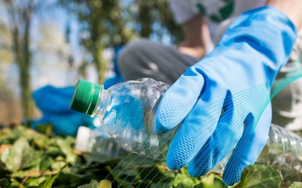 "Cuidar la casa de todos": Hoy Morón celebrará el Día Mundial del Ambiente