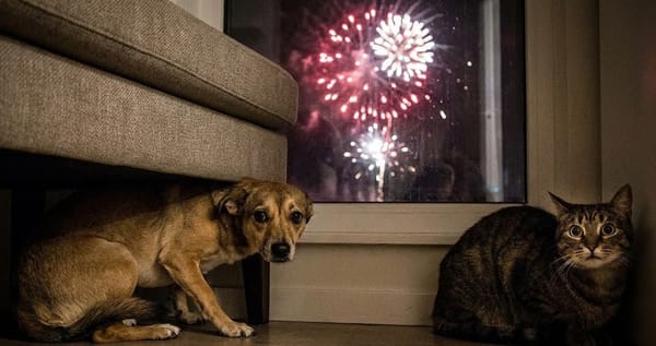 FIESTAS SEGURAS: Ituzaingó refuerza los controles de "Pirotecnia Cero" y advierte sobre fuertes multas