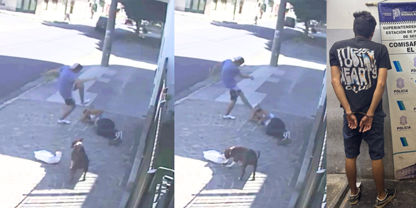 Brutal ataque en El Palomar: lo apuñaló y lo pateó en la cabeza porque le debía el alquiler