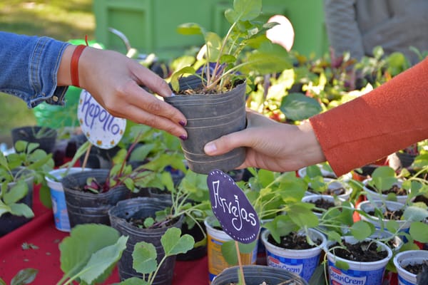 Un compromiso con el barrio: vuelve el Eco-Canje a Ituzaingó
