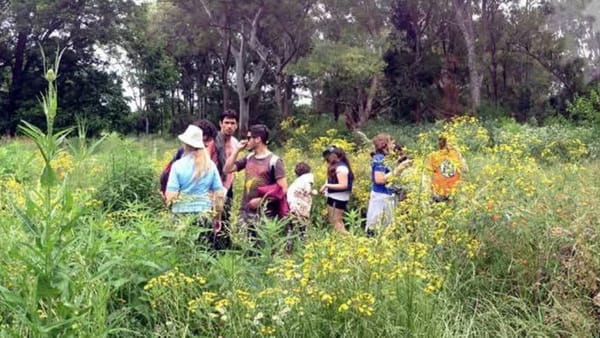 El Jardín Botánico del INTA-Castelar abre sus puertas en las vacaciones de invierno