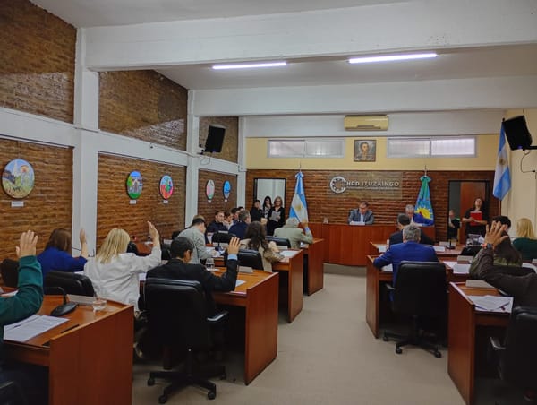 Ituzaingó: el HCD aprobó un ambicioso plan ambiental. 24 mil nuevos árboles