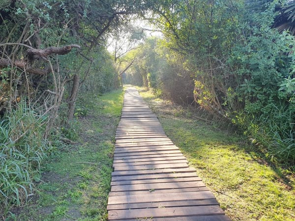 Hallaron a una mujer sin vida en la Reserva Natural Urbana de Castelar sur