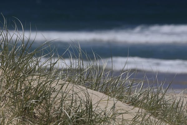 Alojamiento en Villa Gesell: guía para elegir dónde hospedarse