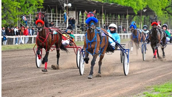 La Provincia incorporó las carreras de trote al régimen hípico y oficializó el Hipódromo de Hurlingham