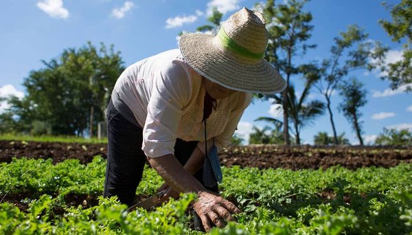 INTA curso agroecología