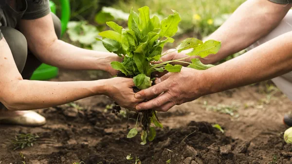 Promotor Escolar en Agroecología