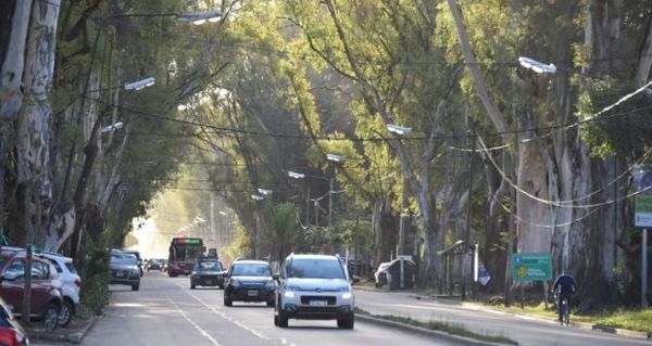 Finalmente no habrá cambios en el recorrido de los colectivos sobre la Avenida Martín Fierro