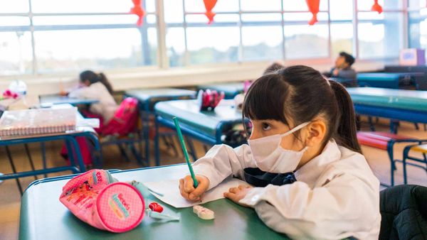 Provincia: desde mañana el uso del barbijo será optativo en las escuelas y en el trabajo