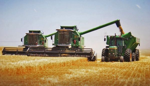 El campo tuvo exportaciones récord en el primer cuatrimestre de 2022