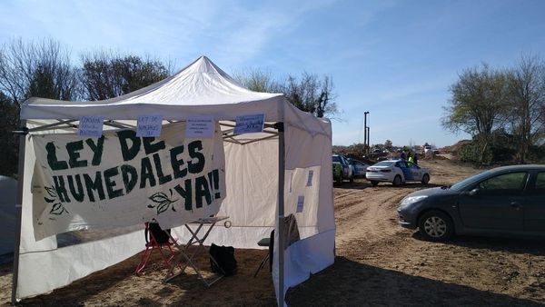 Organizaciones ambientales realizarán una movilización para pedir por la Ley de Humedales