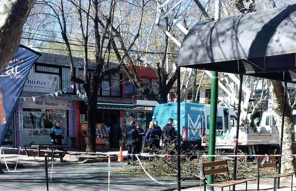 Murió un operario municipal mientras podaba un árbol en Ituzaingó Sur