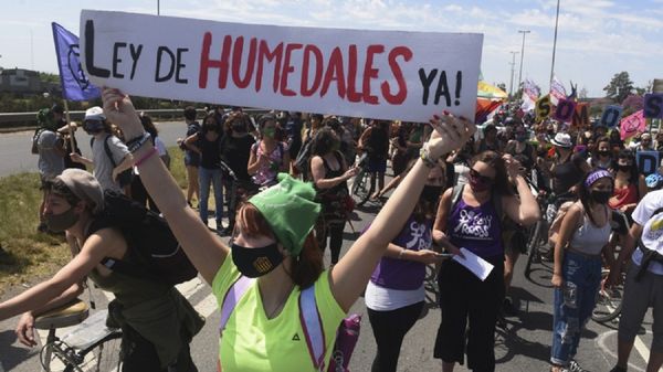 Acción Plurinacional por los Humedales