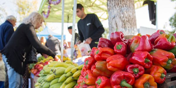 Morón: se desarrolla una nueva edición del Mercado Central en el barrio