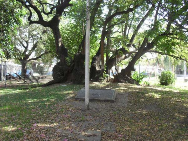 El Ombú de Ciudad Jardín, el único recuerdo vivo de lo que fue la batalla de Caseros