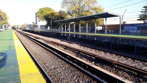 La policía pudo evitar que una mujer se arrojara a las vías en la estación Ituzaingó