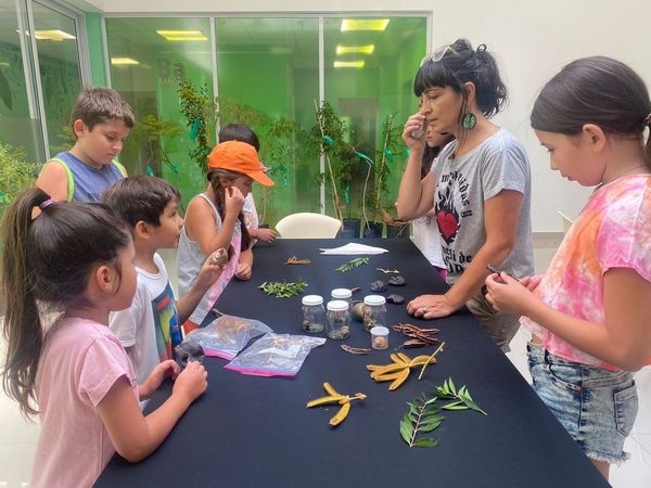 Conocé los talleres con conciencia ecológica que se dictan gratis en Ituzaingó