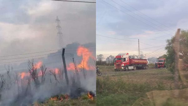 Un grave incendio azotó el predio del INTA en Hurlingham